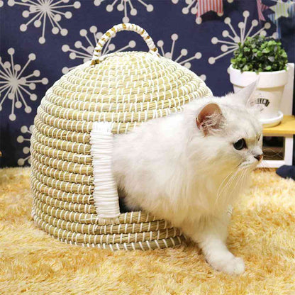 Cat Chigura Dream
