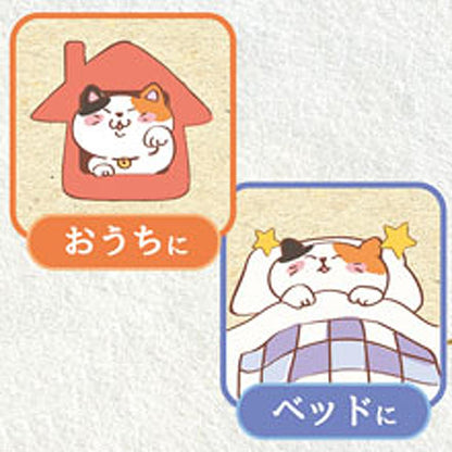 Cat Chigura Dream