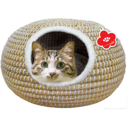 Cat Chigura Series Round Pot Dream
