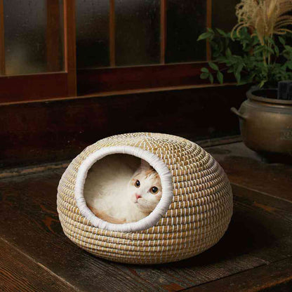 Cat Chigura Series Round Pot Dream