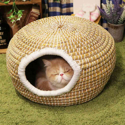 Cat Chigura Series Round Pot Dream