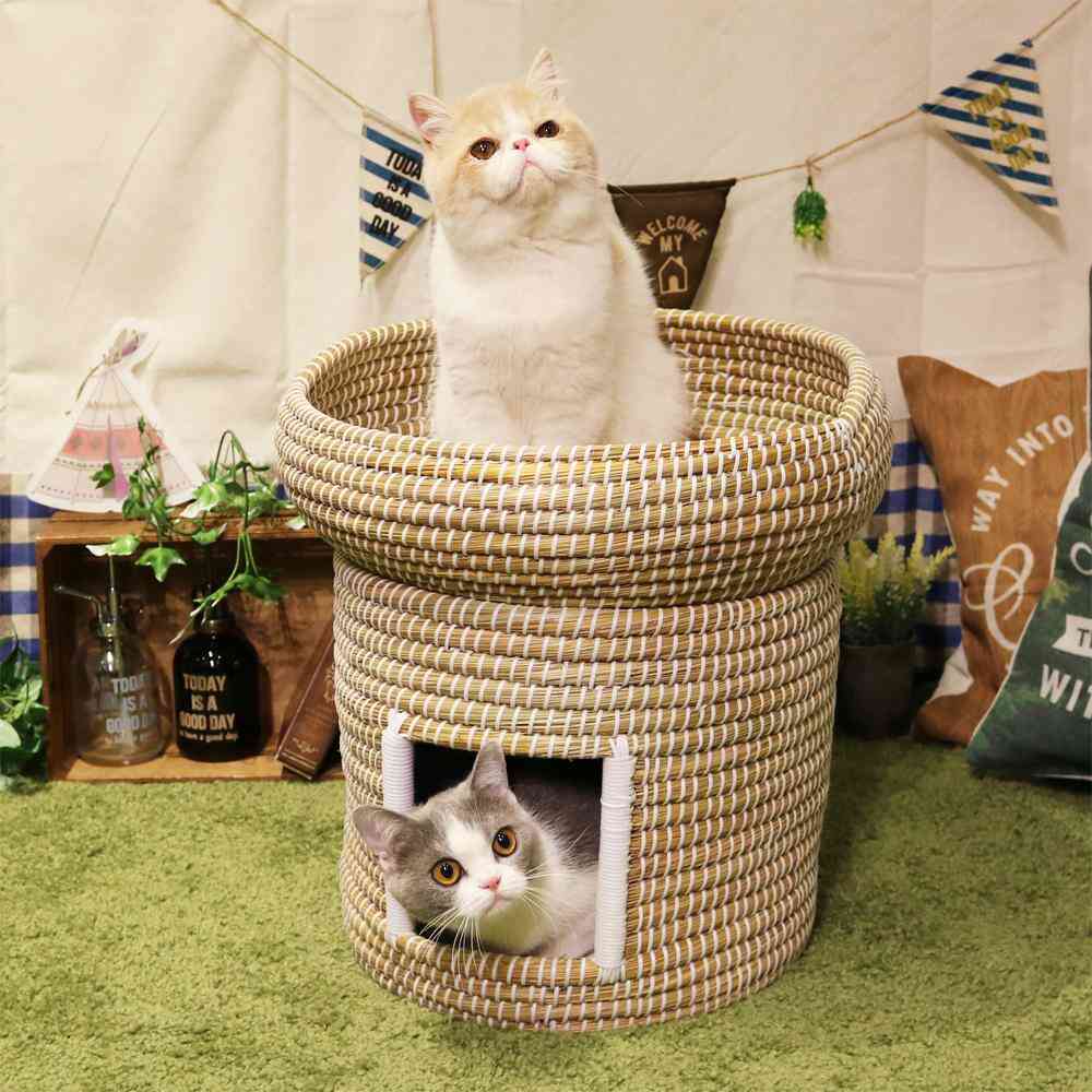 Cat Chigura Series Friendly 2-Tier Chigura Dream