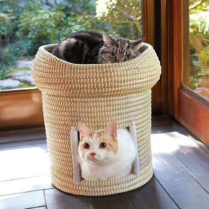 Cat Chigura Series Friendly 2-Tier Chigura Dream