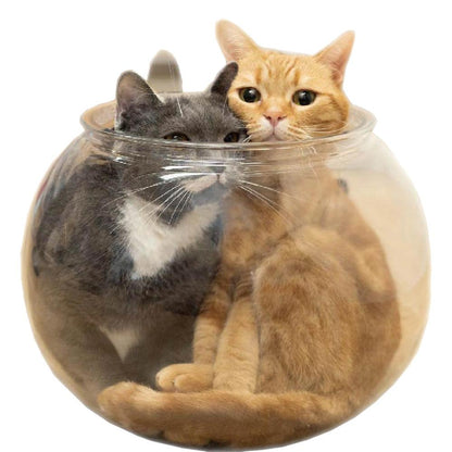 Large Cat Goldfish Bowl Bed