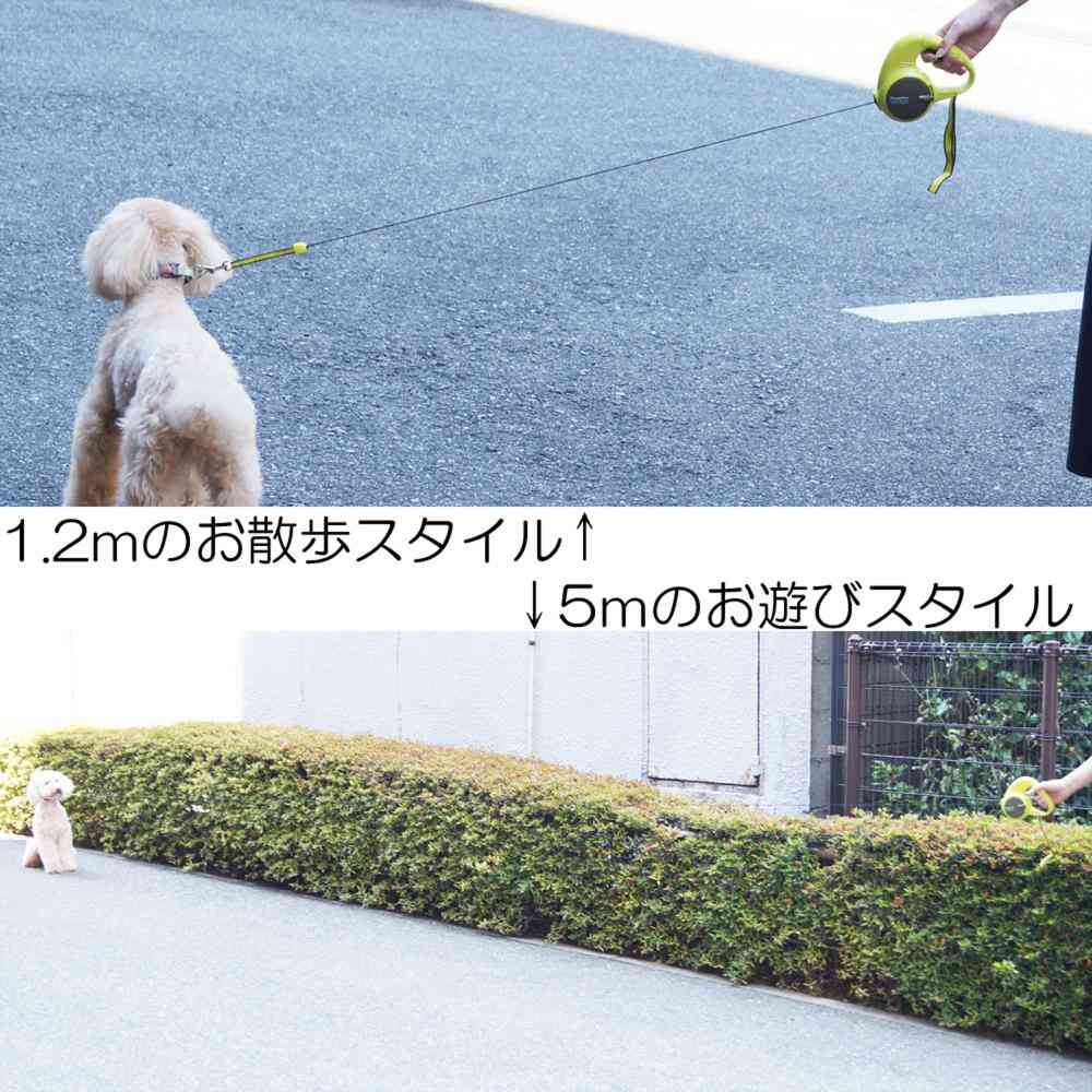 2-Stage Doggy Walker S/M Green
