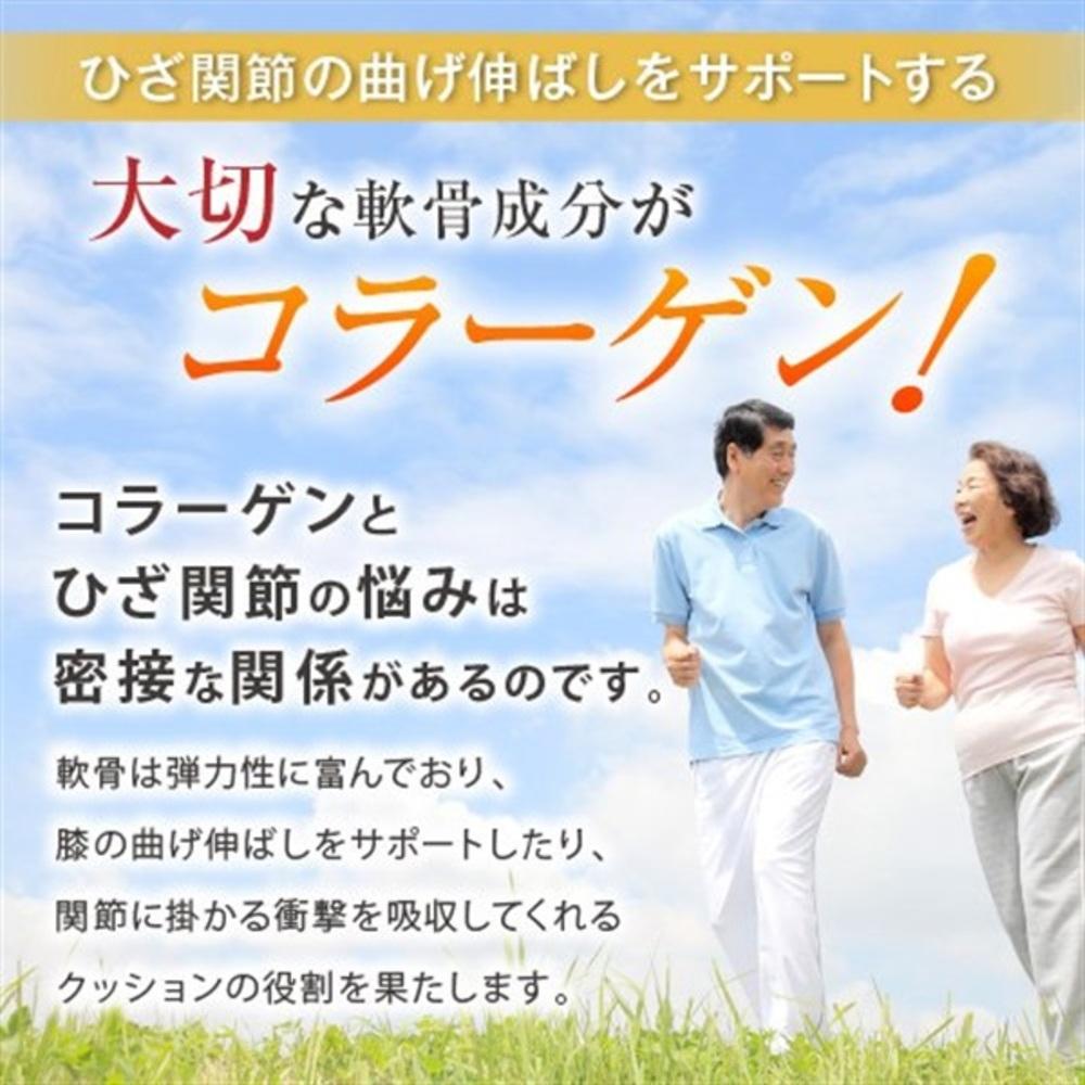 Fine Non-Denatured Type II Collagen UC-II 250 Capsules