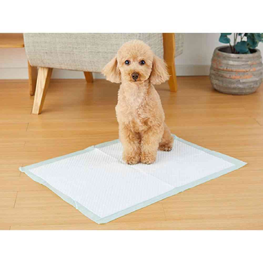 Bonbi Alcon Training Sheets Double Deodorization Neo Wide 30 Pieces