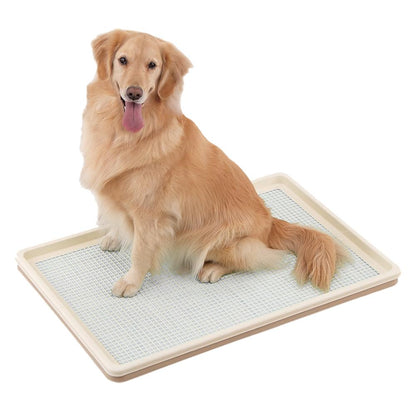 Training Tray XL Mesh Type