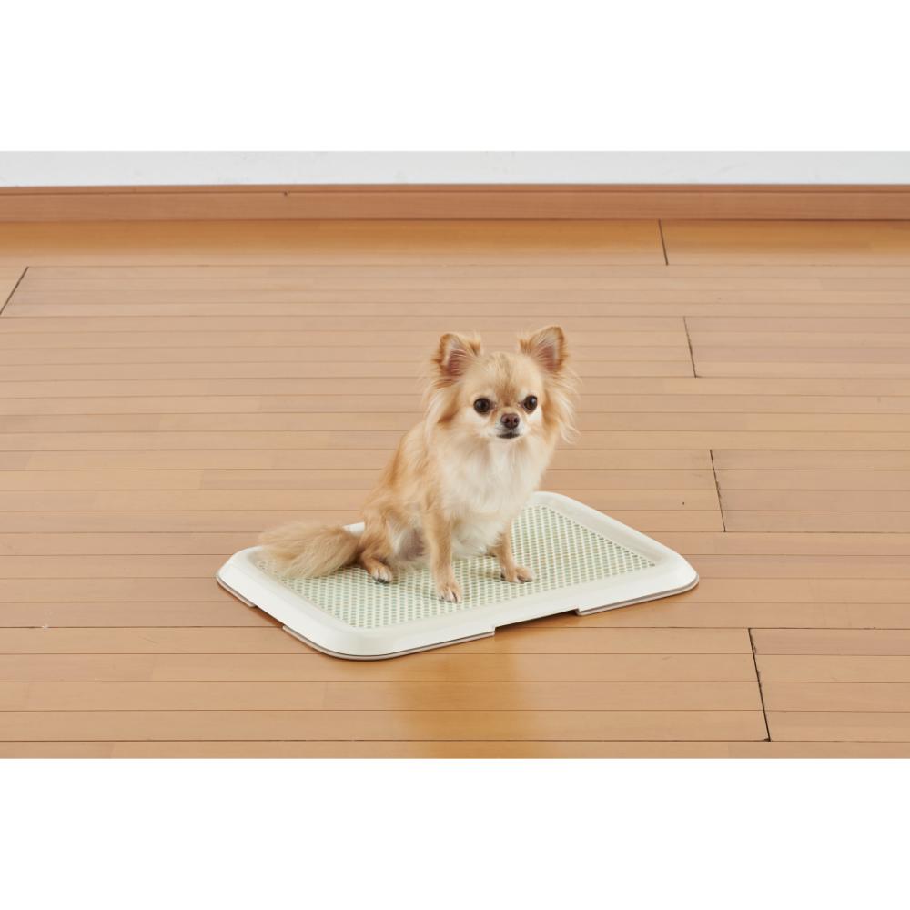 Slim Training Tray S Ivory