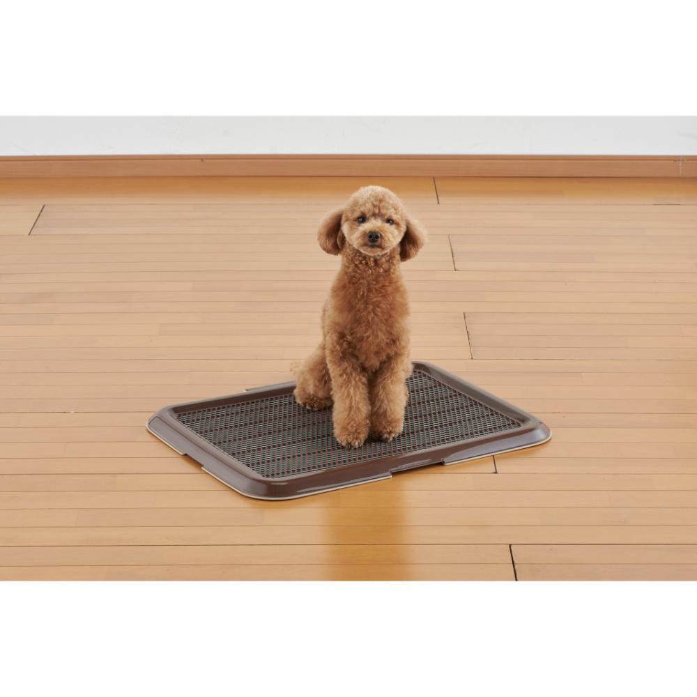 Slim Training Tray M Buran
