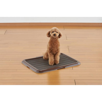 Slim Training Tray M Buran