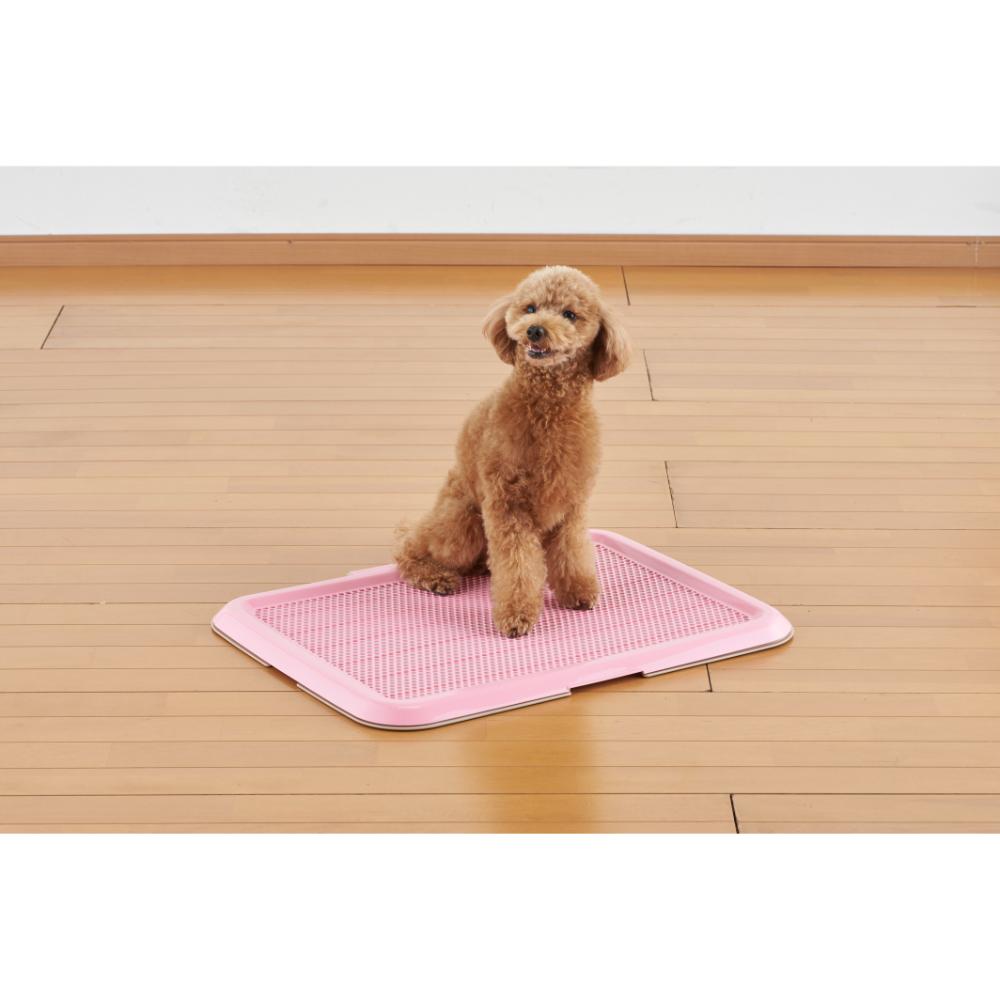 Thin Training Tray M Pink