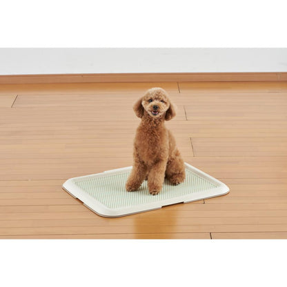 Slim Training Tray M Ivory