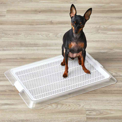 Pet Lay Clear Mesh S