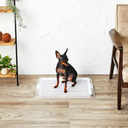 Pet Lay Clear Mesh S