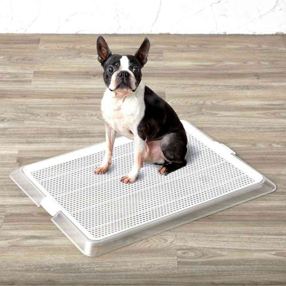 Pet Tray Clear Mesh M
