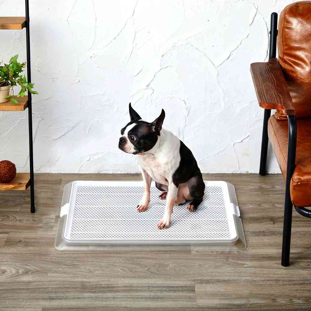 Pet Tray Clear Mesh M