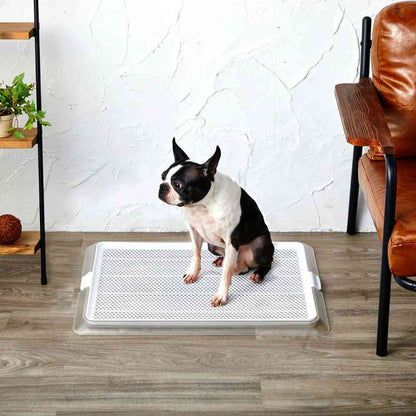 Pet Tray Clear Mesh M