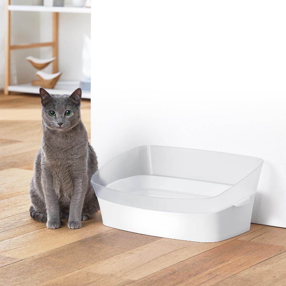 Training Toilet Clear Cat S