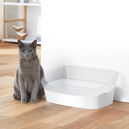 Training Toilet Clear Cat S