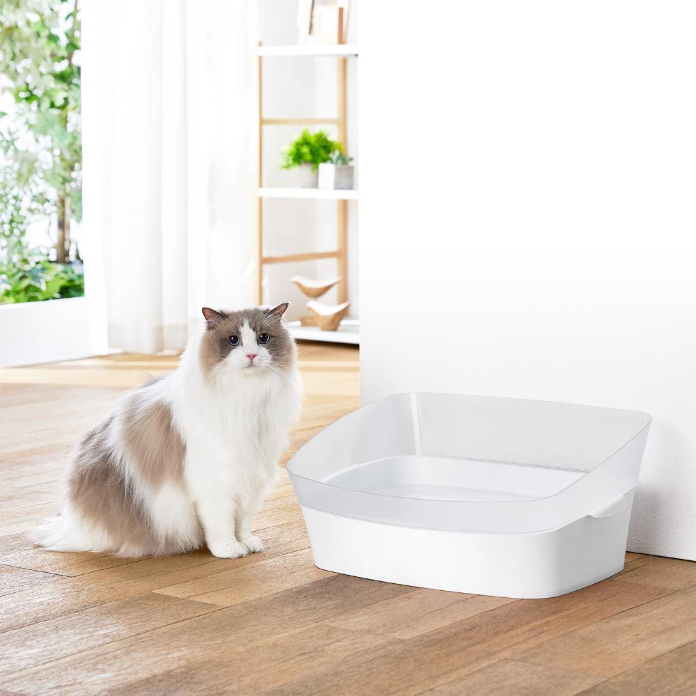 Training Toilet Clear Cat M