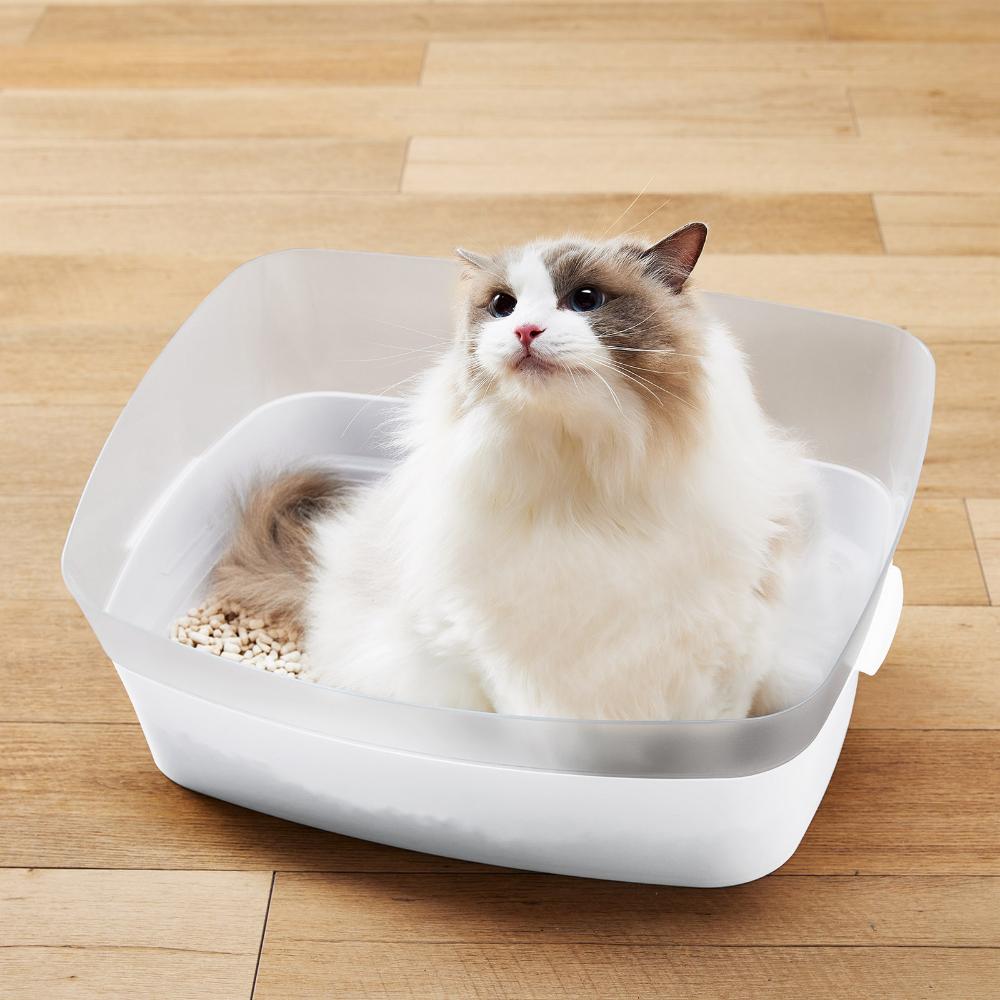 Training Toilet Clear Cat M