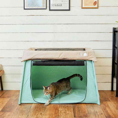 Pet-Friendly Soft One Circle Mint Green