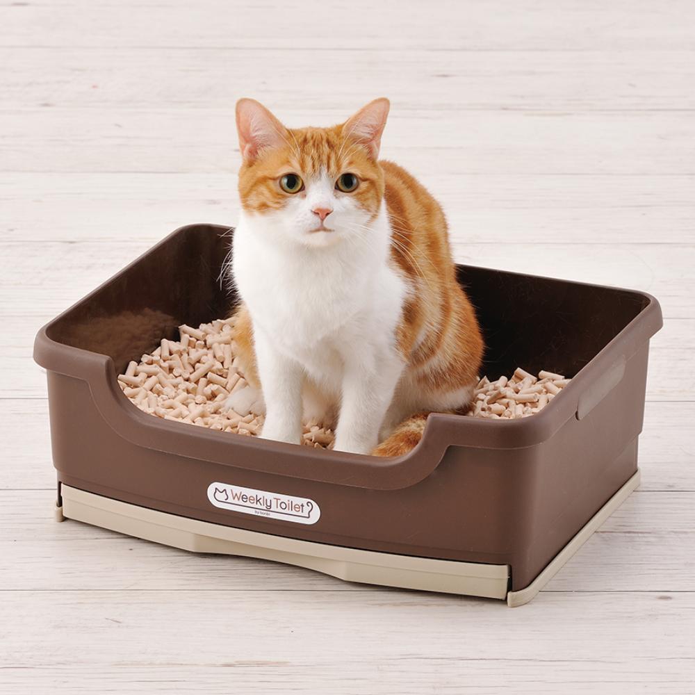 Weekly Toilet Training 3-Piece Set Brown