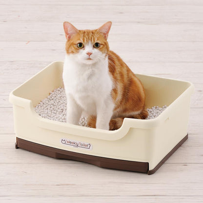 Weekly Toilet Training 3-Piece Set Off-White