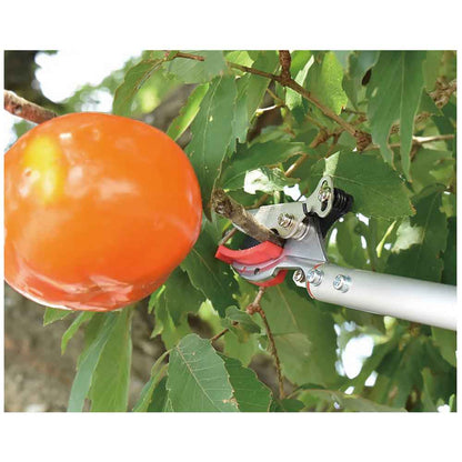 Chokotto Pruning Tool SGL-20