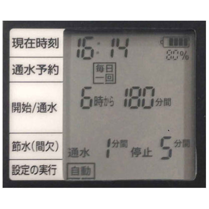 Deluxe Watering Timer SST-4