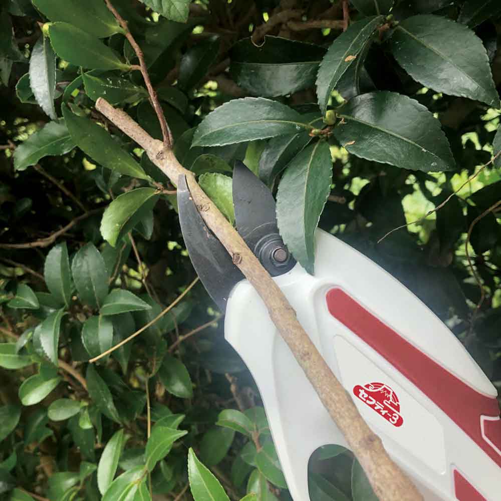 Rechargeable Pruning Shears SBH-1