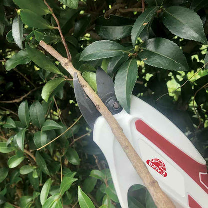 Rechargeable Pruning Shears SBH-1