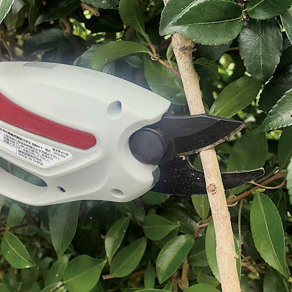 Rechargeable Pruning Shears SBH-1