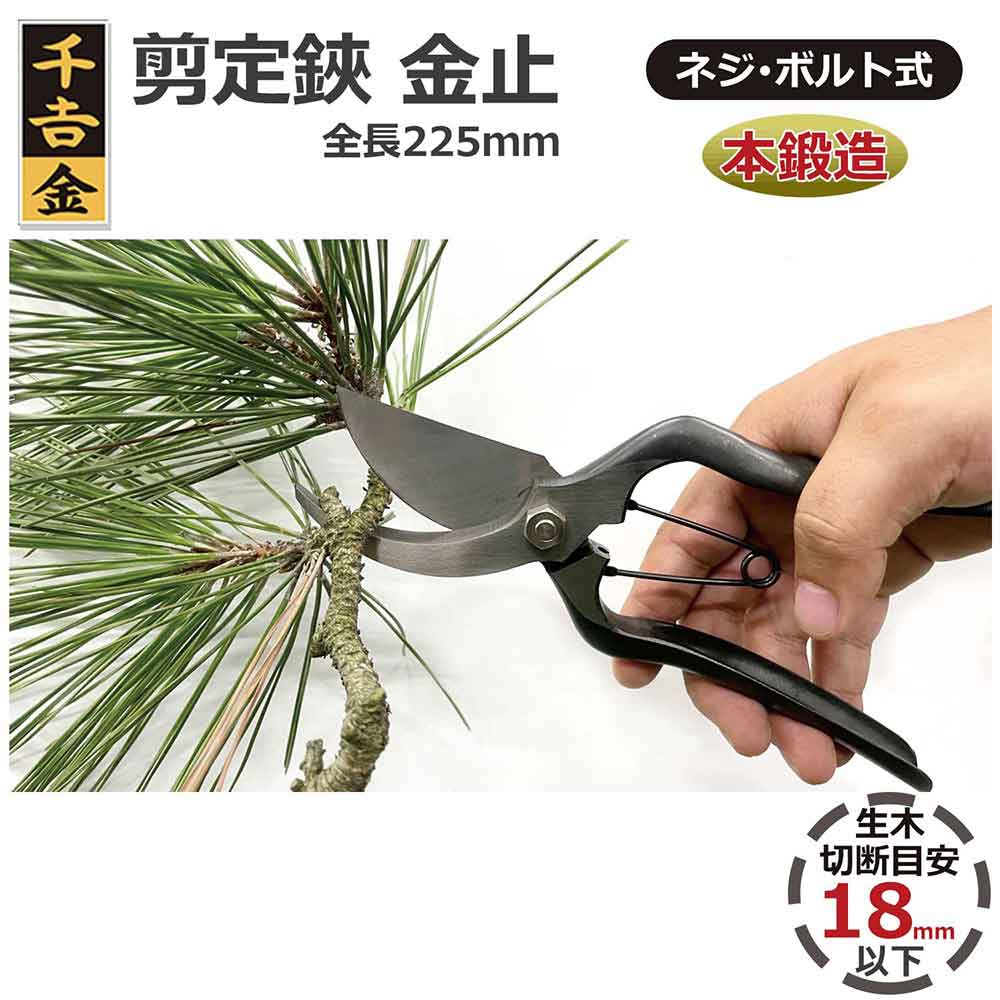 Pruning Shears with Metal Stop 225MM