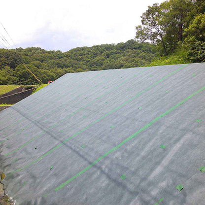 High-Density Non-Woven Weed Control Sheet No Green 1X10M