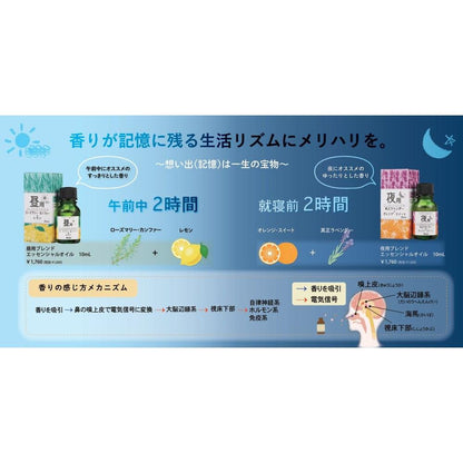 Daily Aroma Night Blend Essential Oil 10ml