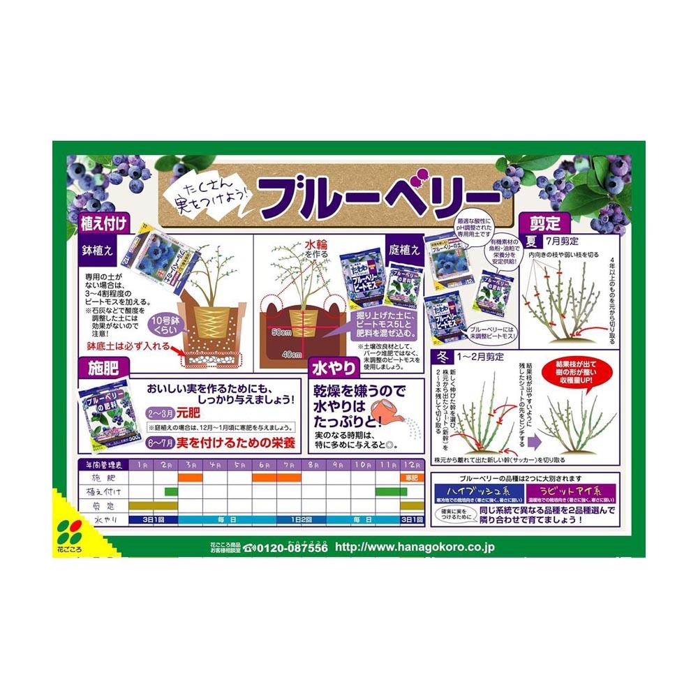 Hanagokoro Blueberry Fertilizer 500g