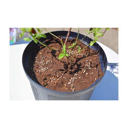 Hanagokoro Blueberry Fertilizer 1.2kg
