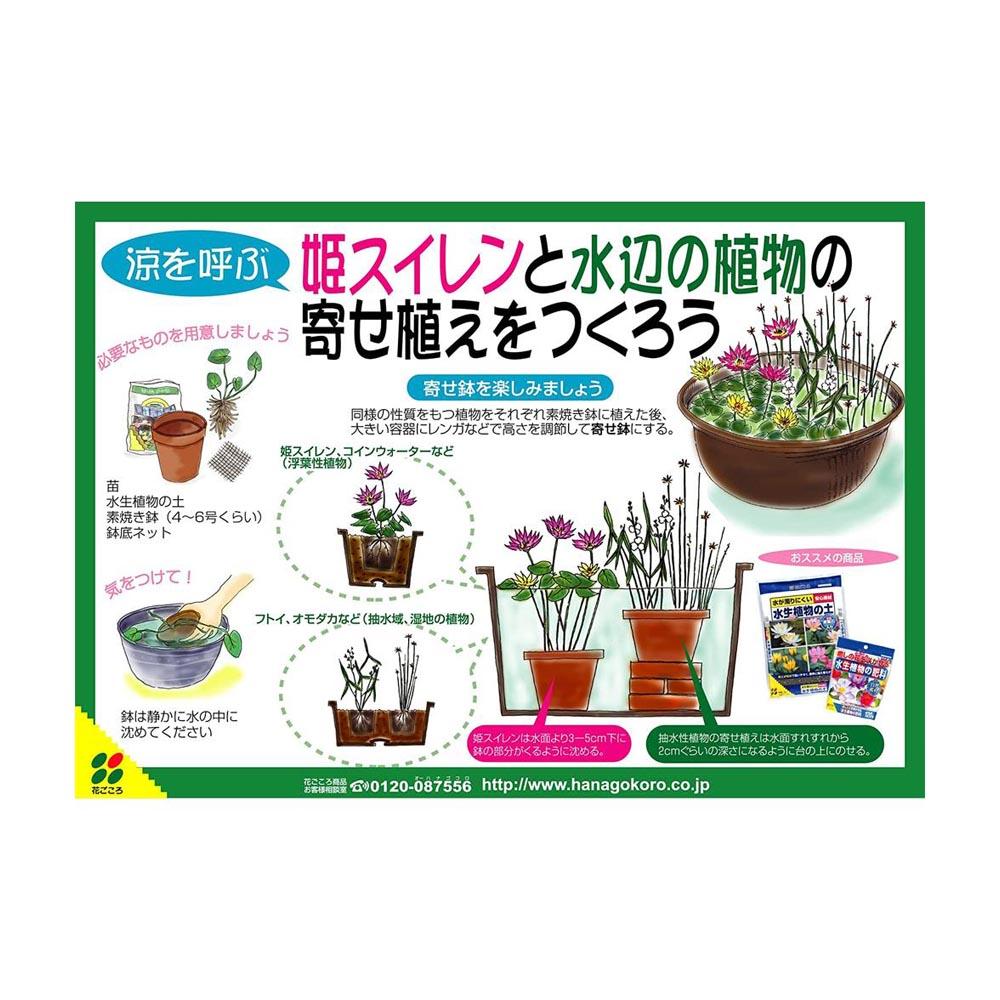 Hanagokoro Aquatic Plant Fertilizer 120g
