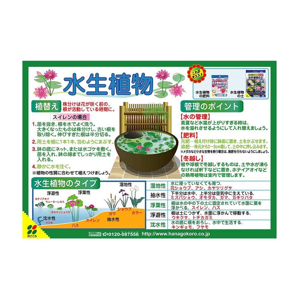 Hanagokoro Aquatic Plant Fertilizer 120g