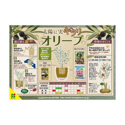 Hanagokoro Olive Soil 12L