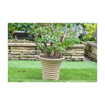 Hanagokoro Soil for Aloe and Money Tree 5L