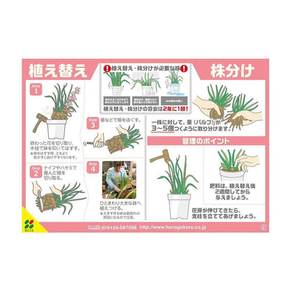 Hanagokoro Orchid Bark 5L