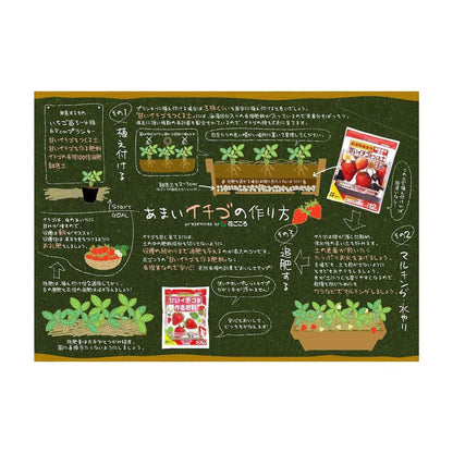 Hanagokoro Sweet Strawberry Soil 12L