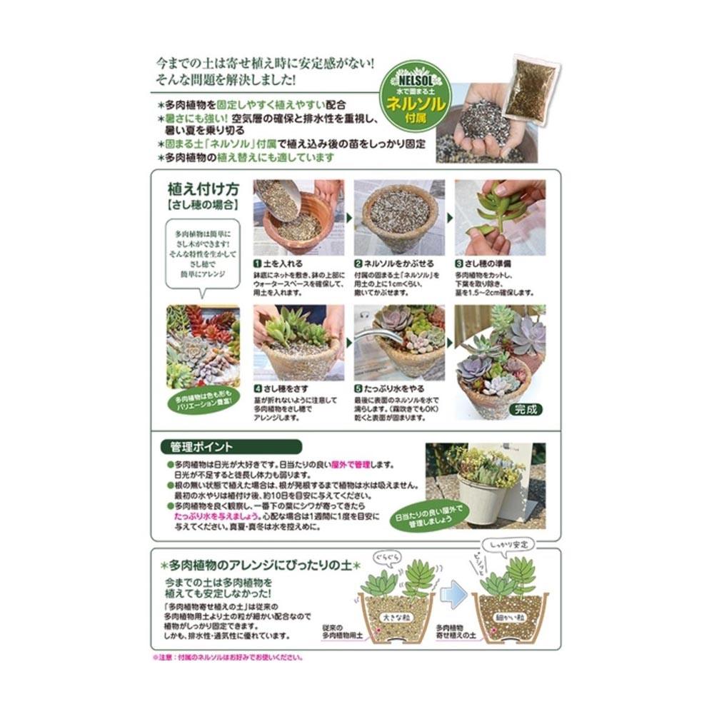 Hanagokoro Succulent Plant Potting Soil (with Nelsol) 5L