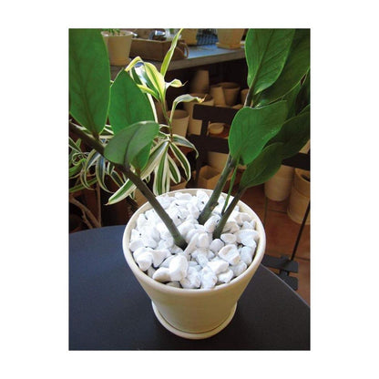 Hanagokoro Container Guard White Stones 2L