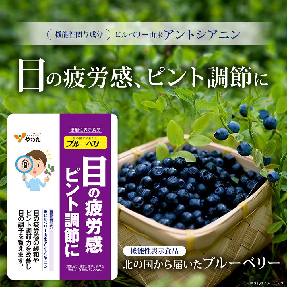 Yawata Blueberry from the North 30 Capsules