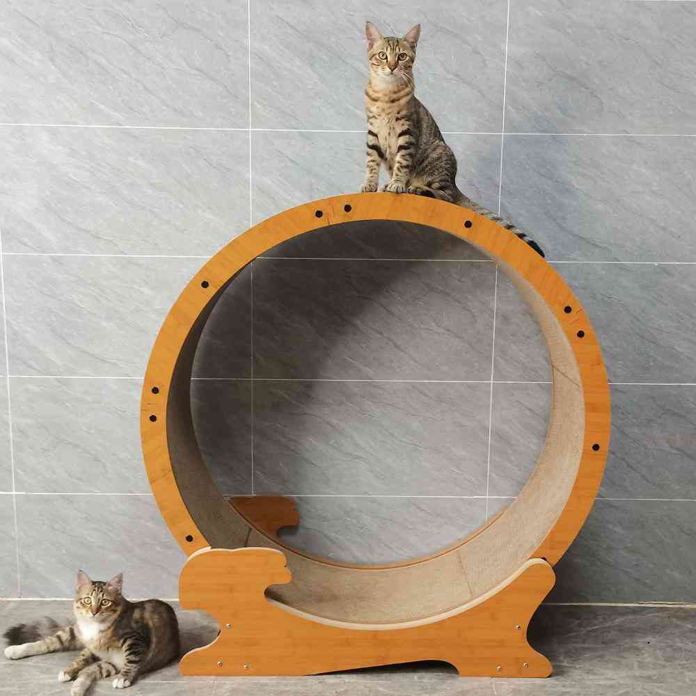 HappyDays Cat Running Machine L