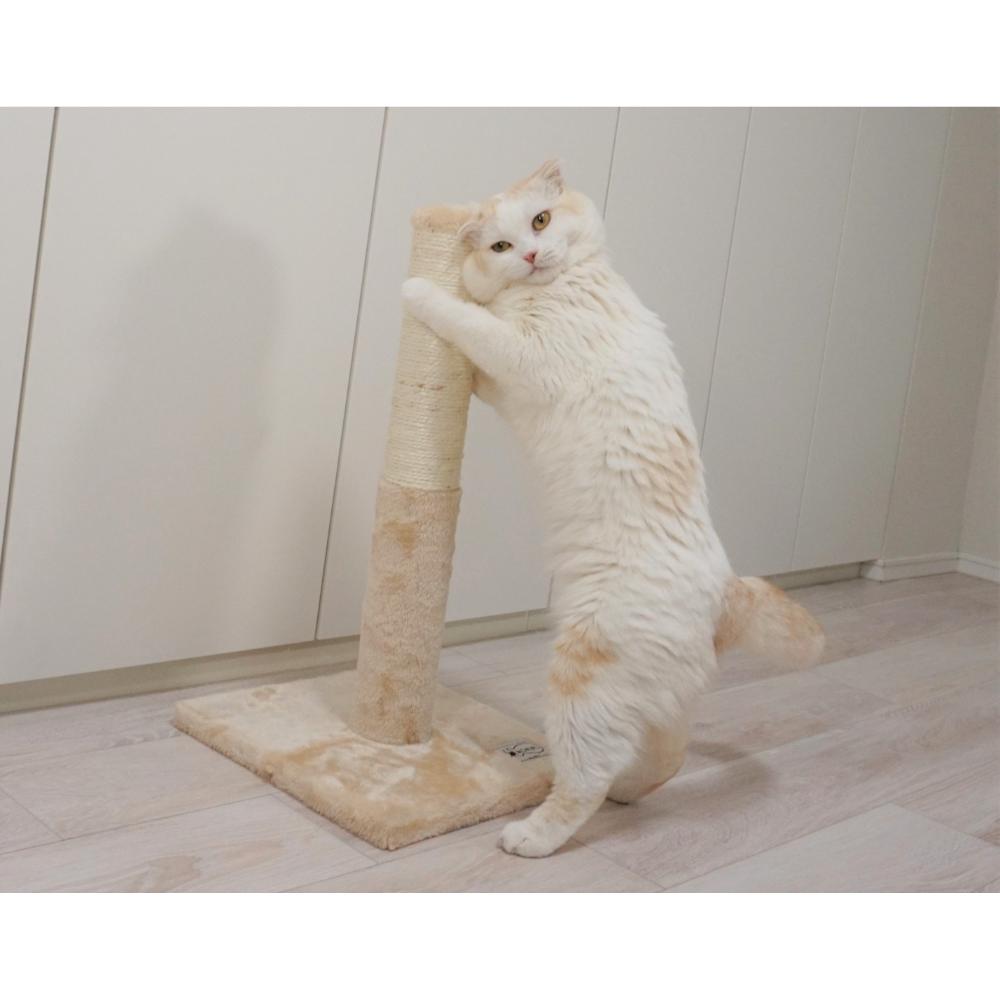 Neko ga Kure Cat Scratching Post Tower